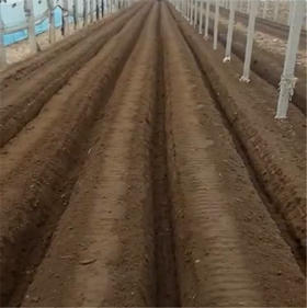 蔬菜越冬茬底肥如何正确选择