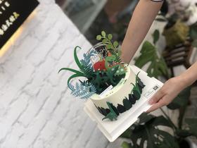 宝宝生日恐龙奶油蛋糕