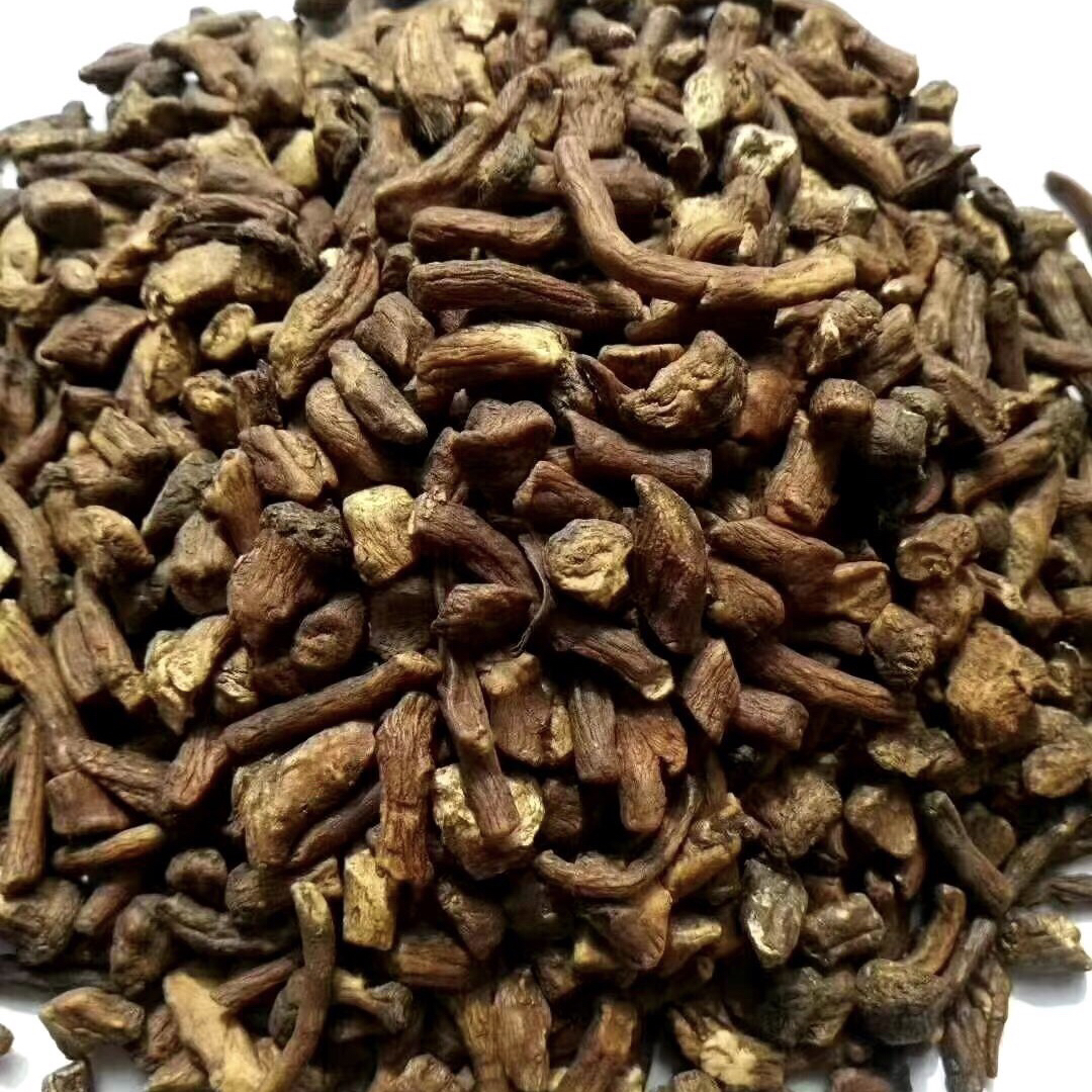 吉林特产|长白山野生蒲公英茶500克包邮