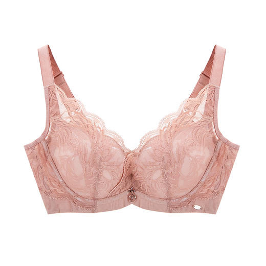 皇家丽美调整型聚拢厚内衣记忆钛圈性感蕾丝美背小胸显大文胸WJ027-3 商品图3