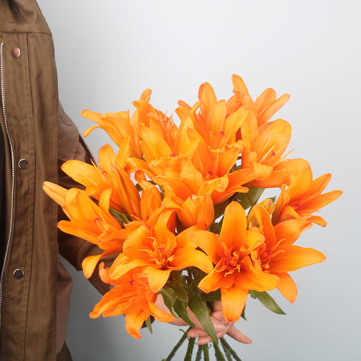 亚百合·橙色#3头5枝