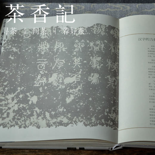 茶香记 《又见老虎》  浙江人民美术出版社  金石清赏美学著作 商品图3