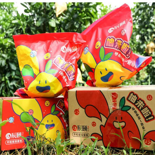 琯溪红心蜜柚5斤礼盒装新鲜应季水果产地直供现摘包邮 商品图3