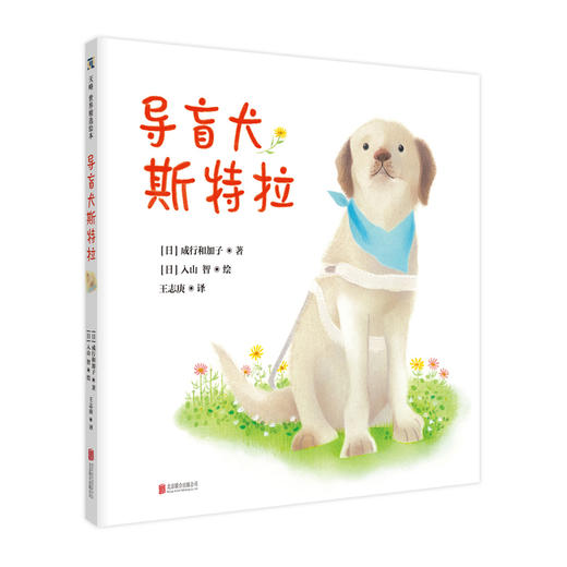 导盲犬斯特拉 商品图0