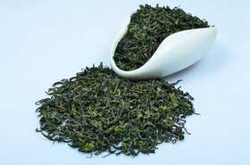 日照绿茶
