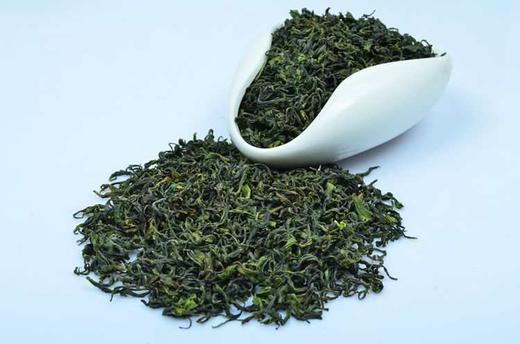 日照绿茶 商品图0