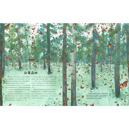 迁徙：不可思议的动物之旅 商品图4