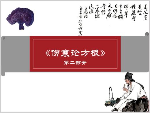 第二部分【6】什么是阴阳表里寒热虚实——六经病的进一步细分标准（1.太阳经） 商品图0