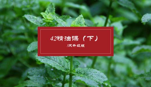 第四节：老年人当然可以使用精油 商品图0