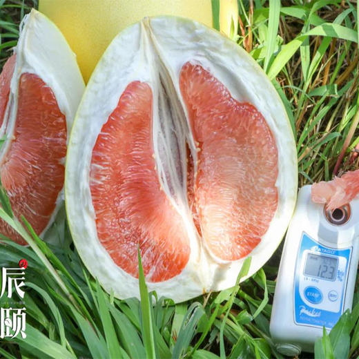 琯溪红心蜜柚5斤礼盒装新鲜应季水果产地直供现摘包邮 商品图2