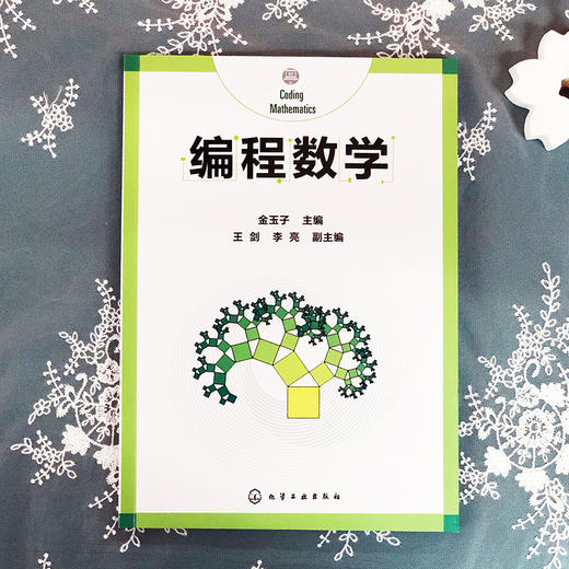 编程数学 金玉子 主编 计算机编程 编程算法 计算思维书籍 通过数学和算法方面的编程案例 介绍数学方法对解决生活中问题的帮助 商品图2