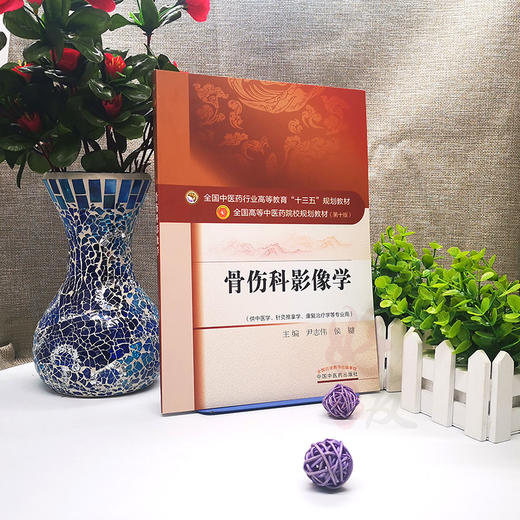 骨伤科影像学 全国高等中医药院校规划教材 第十10版 尹志伟 侯键主编 中国中医药出版社 供中医学针灸推拿学康复治疗学等专业用 商品图4
