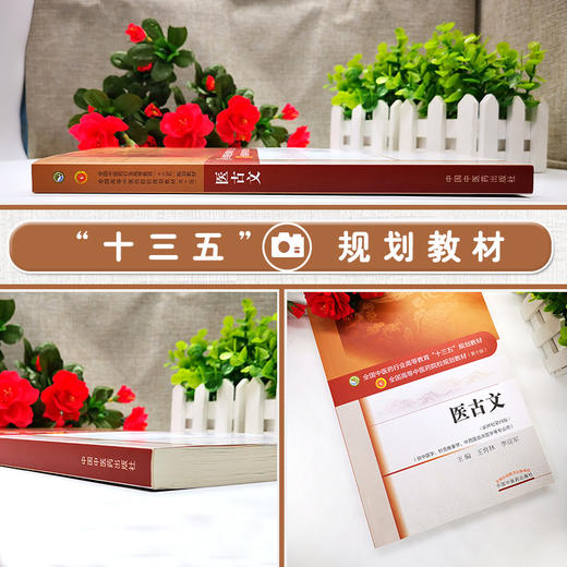 医古文 新世纪第4四版 全国高等中医药院校规划教材 第十10版 本科教材 王育林 李亚军主编 供中医学针灸推拿学中西医临床等专业用 商品图2