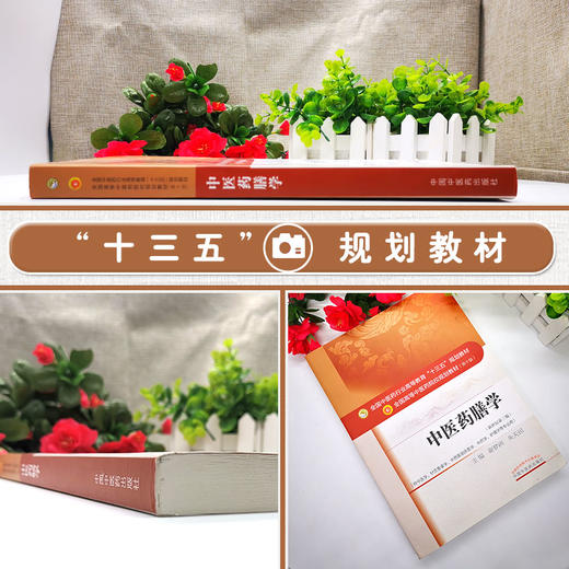 中医药膳学 第十10版 新世纪第三版 全国中医药行业高等教育十三五规划教材 谢梦洲 朱天民 主编 中医药院校教材 中国中医药出版社 商品图2