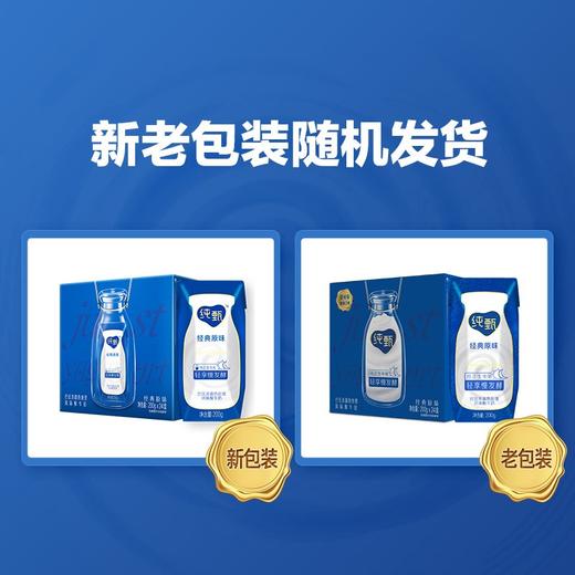 纯甄巴氏杀菌热处理风味酸牛奶利乐钻200g×12盒 商品图1