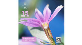 【花丘•心语】