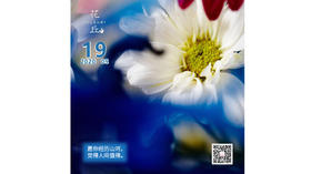 【花丘•心语】