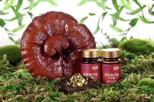 品高 灵芝孢子油软胶囊 商品图1