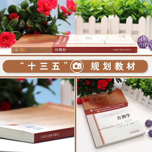 方剂学 第10版第十版 李冀 连建伟 全国中医药行业高等教育十三五规划教材研究生本科专科教材可搭配方剂学习题集中国中医药出版社 商品图2