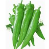 赞字村牛角椒（±25g/份） 商品缩略图0