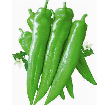 赞字村牛角椒（±25g/份） 商品图0