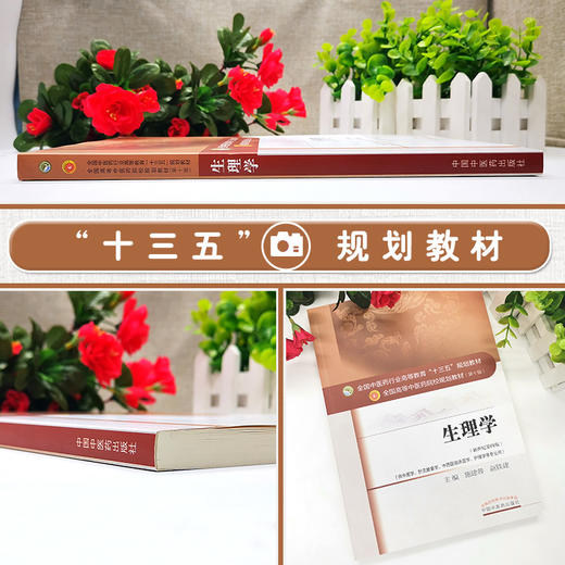 生理学 新世纪第4四版 全国高等中医药院校规划教材 第10十版 施建蓉 赵铁建主编 中国中医药出版社 供中医学针灸推拿学等专业用 商品图2
