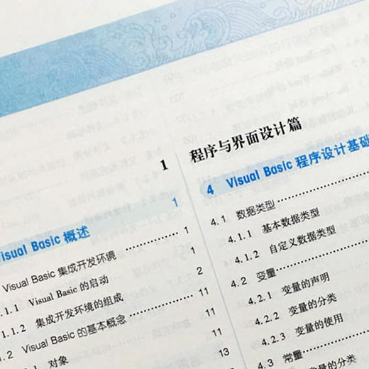 Visual Basic程序设计教程 新世纪第2版 第二版 全国高等中医药院校规划教材 第十版 第10版 十三五规划教材 闫朝升 高等中医院校 商品图3