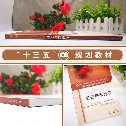 骨伤科影像学 全国高等中医药院校规划教材 第十10版 尹志伟 侯键主编 中国中医药出版社 供中医学针灸推拿学康复治疗学等专业用 商品图2