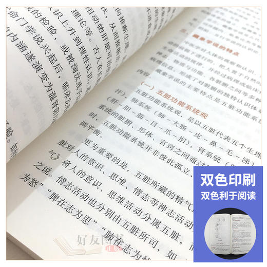 正版中医基础理论+中医诊断学+方剂学+中药学 第十10版全套装全国高等中医药十三五规划本科教材中医学基础自学入门书籍针灸推拿学 商品图4
