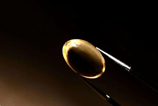 品高 灵芝孢子油软胶囊 商品图3