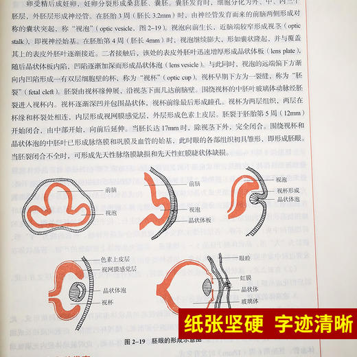 中西医结合眼科学 新世纪第3三版 全国高等中医药院校规划教材 第十10版 段俊国 毕宏生 中国中医药出版社 供中西医临床医学专业用 商品图3