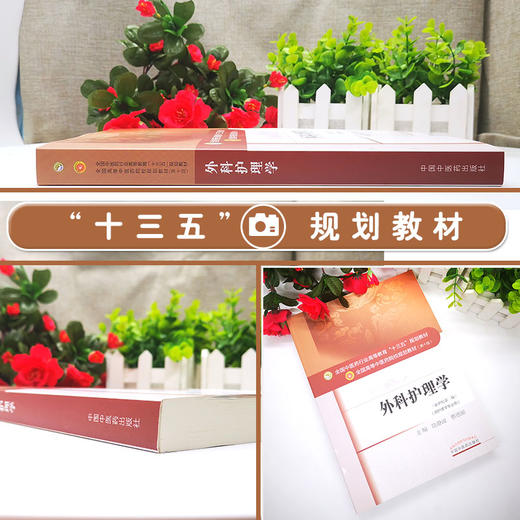 外科护理学新世纪第三版 全国高等中医药院校规划教材第十版 陆静波 蔡恩丽主编 中国中医药出版社9787513233842供护理学专业用 商品图2