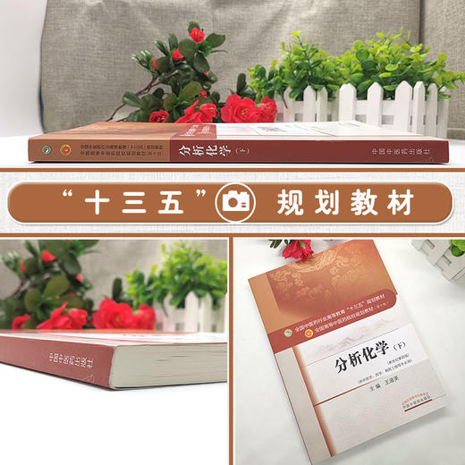 分析化学下 第10十版 新世纪第4四版 供中药学 药学 制药工程等专业用 全国高等中医药院校规划教材 王淑美主编 中国中医药出版社 商品图2