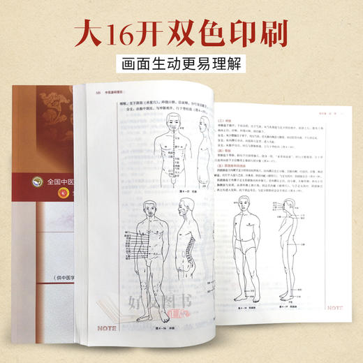 正版中医基础理论+中医诊断学+方剂学+中药学 第十10版全套装全国高等中医药十三五规划本科教材中医学基础自学入门书籍针灸推拿学 商品图1