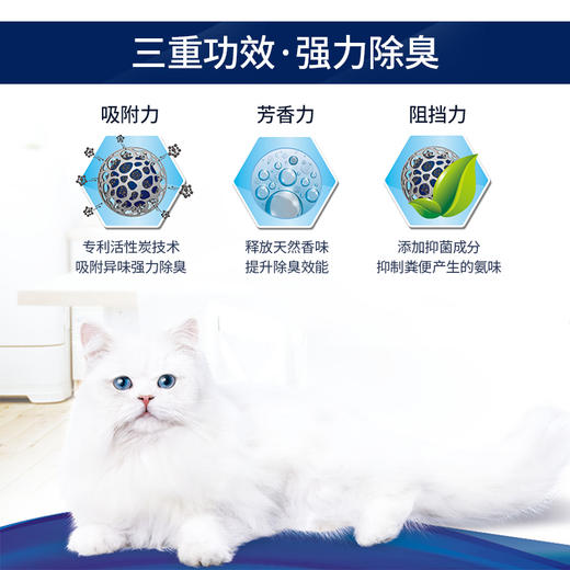 美国EverClean铂钻活性炭除臭膨润土矿石猫砂14磅/25磅/42磅/金多乐路斯猫森林钠基矿膨润土猫砂 商品图2