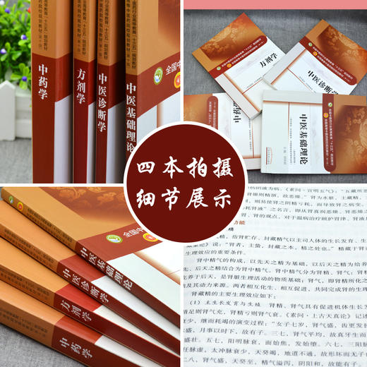 正版中医基础理论+中医诊断学+方剂学+中药学 第十10版全套装全国高等中医药十三五规划本科教材中医学基础自学入门书籍针灸推拿学 商品图2