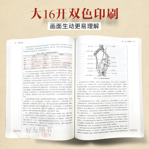 正版 中医外科学 第十10版 新世纪第四4版  陈红风主编 供中医学针灸推拿学专业用全国高等中医药院校十三五规划教材本科 中医药 商品图2