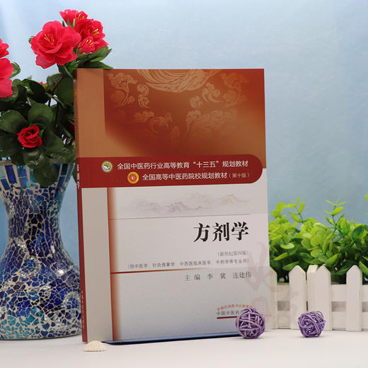 方剂学 第10版第十版 李冀 连建伟 全国中医药行业高等教育十三五规划教材研究生本科专科教材可搭配方剂学习题集中国中医药出版社 商品图4