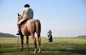 高乔骑士特浓情干白—酒中的“花木兰”