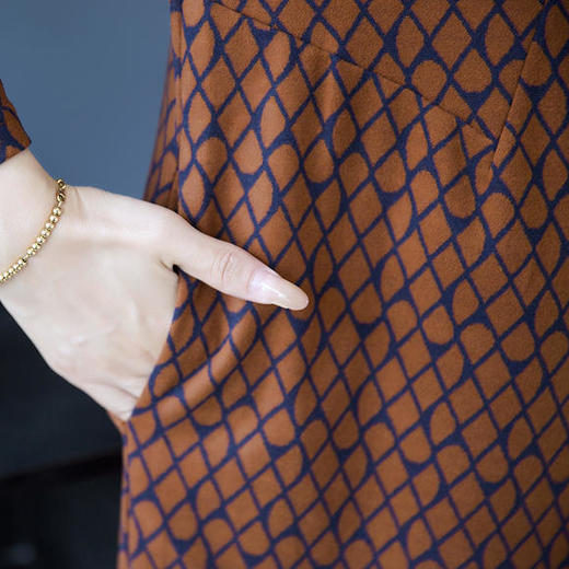 YCE-A948-8136大码气质贵夫人长袖连衣裙 商品图4