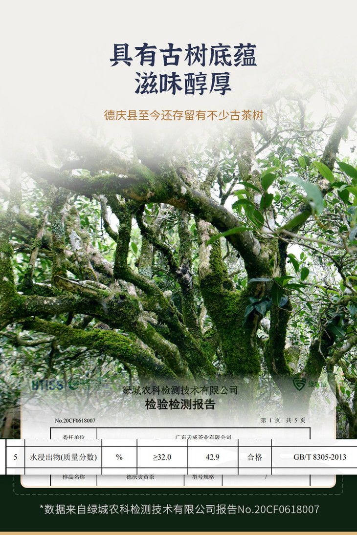 德庆贡黄茶250g礼盒