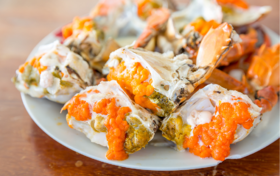  满身香膏的红鲟，鲜美得让你欲罢不能 