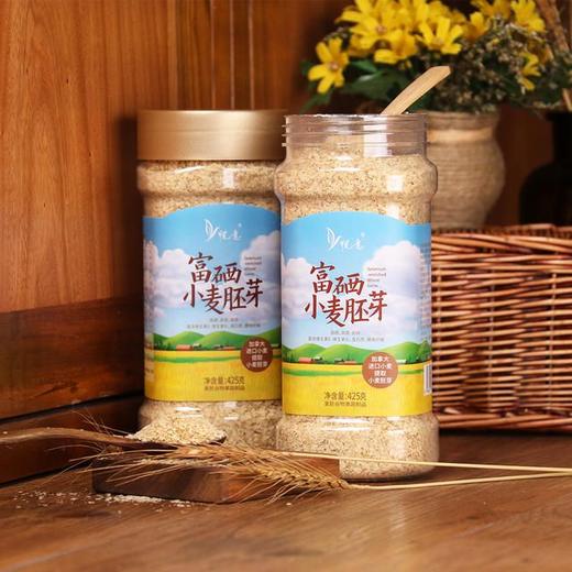 国庆中秋送礼佳品 悦意黄金营养健康冲调品甜蜜搭配大礼包 深圳总部发货 商品图1