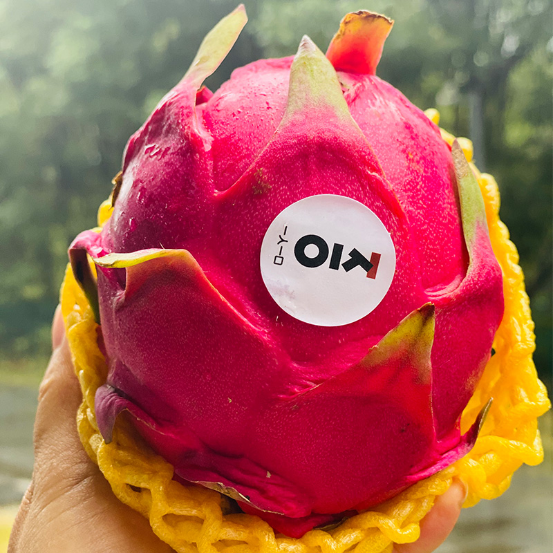 一人一口特选大蜜宝  |  碧绿的叶儿,圆鼓鼓的很是喜人,刚一下刀子汁