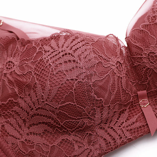 雅黛丽内衣女蕾丝文胸舒适无钢圈调整中厚杯聚拢侧收文胸罩女DYW06205 商品图2