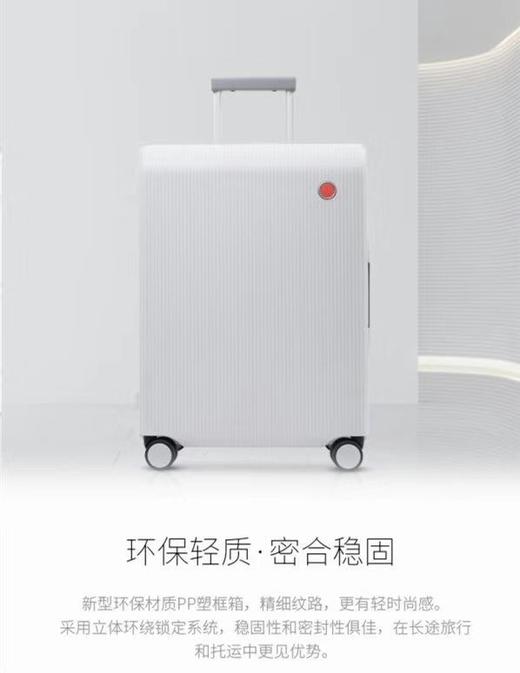 爱可乐20寸浅灰色双排轮拉杆箱PW004 商品图1
