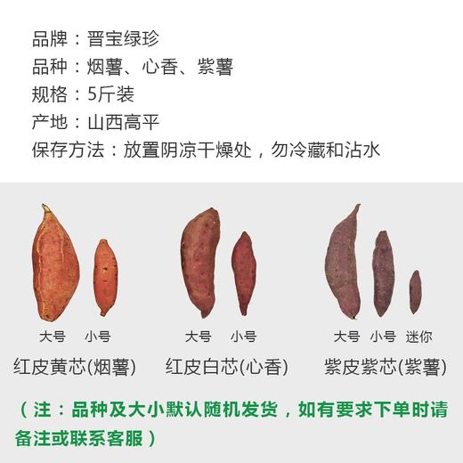 太行有机红薯  软糯香甜 商品图2