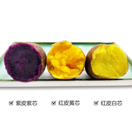 太行有机红薯  软糯香甜 商品图3