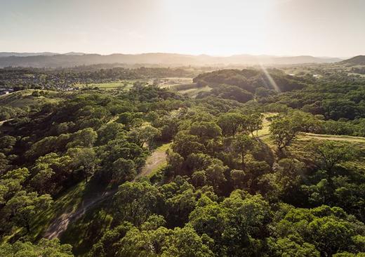 2020年山火再起，加州葡萄园还好吗？（下） 商品图0