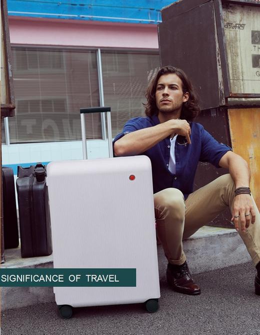 爱可乐20寸浅灰色双排轮拉杆箱PW004 商品图0